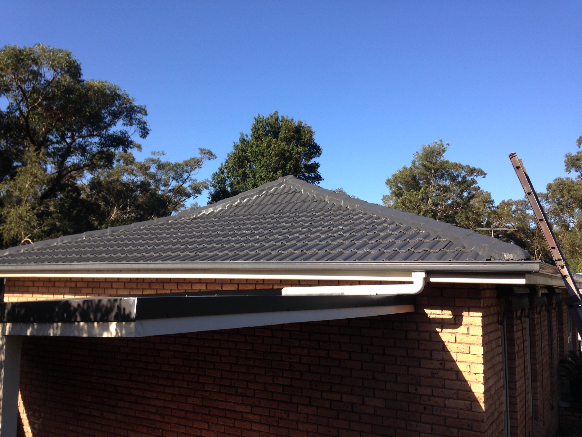 40053788_730033817338751_882856684043632640_n