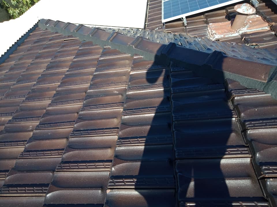 51735338_770855399951257_8229045906209505280_n