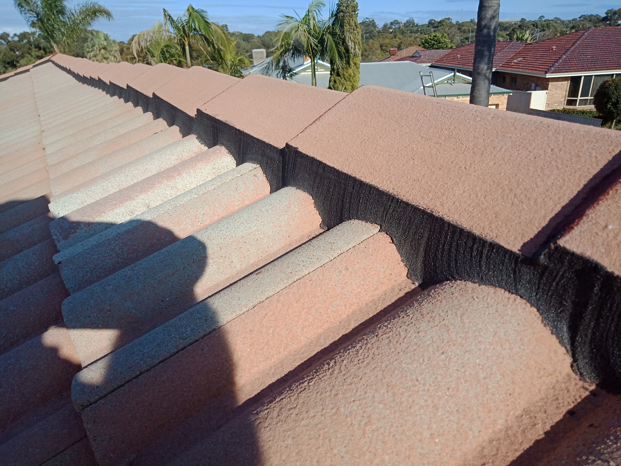 71795907_922063124830483_3405047018547052544_n