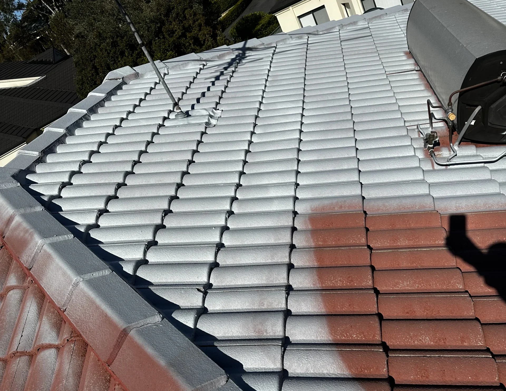 D44E6803-3B25-45CF-973A-5B74C9800602-scaled-e1725499658798