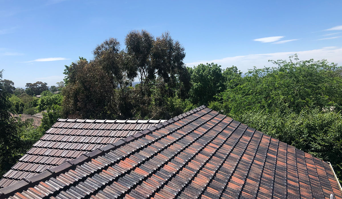 Roof-Repairs-Balwyn-North-Featured